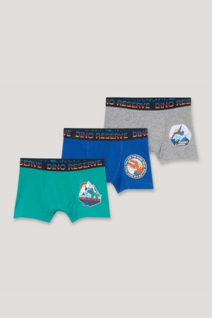 Roupa Interior C&A Multipack Of 3 Dinosaur Boxer Organic Algodão Menino Verdes | 39182QZVD