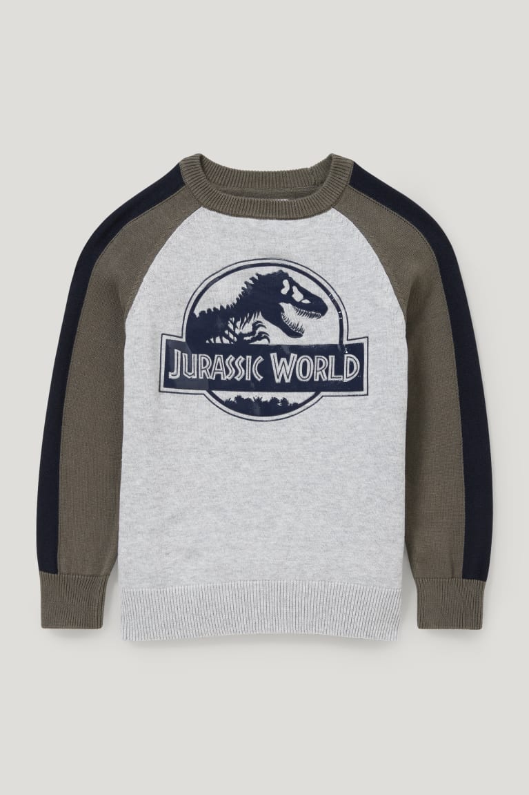 Jumpers C&A Jurassic World Menina Luz Cinzentas | 79253CLXB